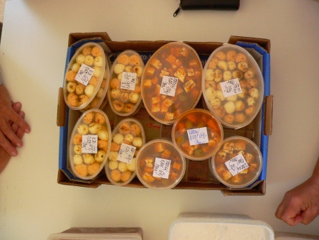 006/ S�r koz� nakl�dan� po �ecku