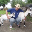011/ Jogurtov� koz� ml�ko